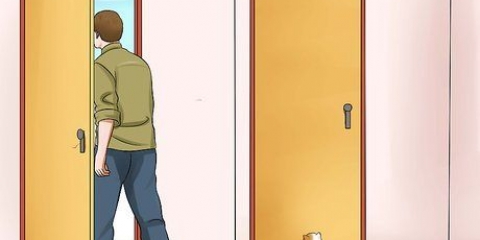 Impedire a un gatto di correre fuori dalla porta