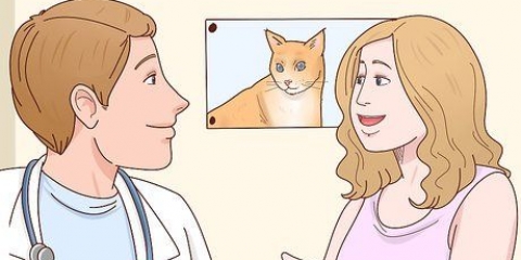 Impedisci al tuo gatto di fare pipì sul tuo letto