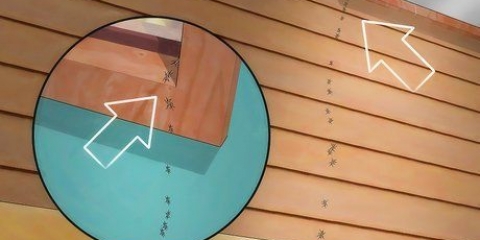 Impedisci alle formiche di entrare in casa tua