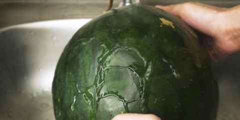 Congelare l'anguria