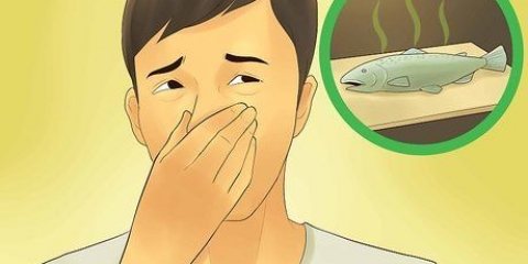 Sapere se il salmone è avariato