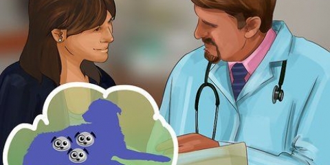Sapere quando un cane ha finito di partorire