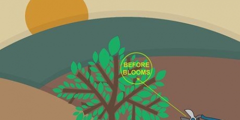 Potatura a fiore alternato