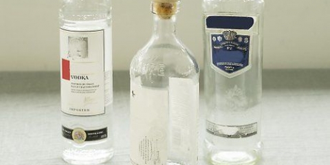 Dare un assaggio alla vodka