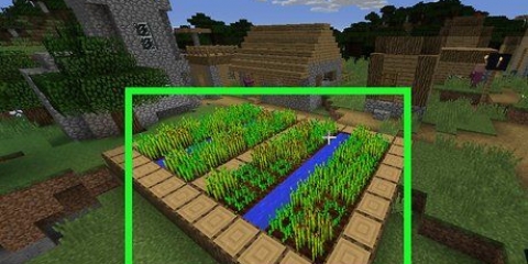 Raccogliere carote in minecraft