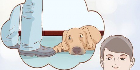 Controlla se il tuo cane è depresso