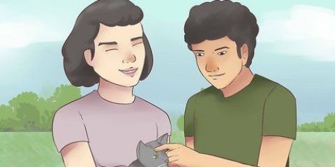 Assicurati che il tuo gatto ti conosca e ti ami