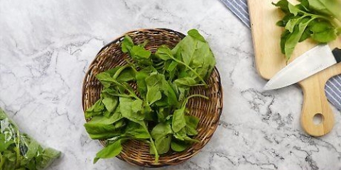 Mantenere freschi gli spinaci
