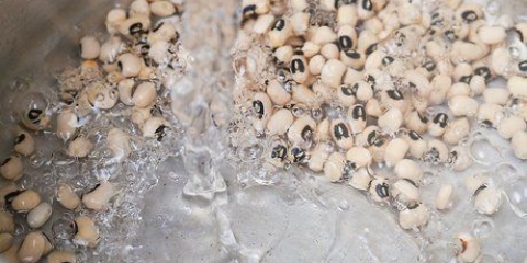 Preparazione dei fagioli neri