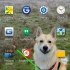 Eliminazione di app su un dispositivo android