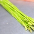 Conservazione degli asparagi
