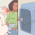 Fare gite in macchina con il tuo cane