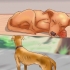 Determinare se far addormentare il tuo cane