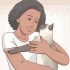 Decidere se un gatto siamese è giusto per te