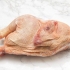 Preparare il pollo congelato in modo sicuro