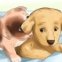 Come disimparare a mordere in un cucciolo