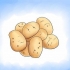 Coltivare patate al chiuso