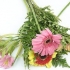 Disposizione dei fiori
