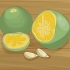 Piante di calamondina