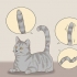 Comunicare con il tuo gatto