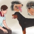 Controllare se il tuo cane è sano e felice