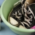 Pulizia converse all stars