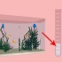 Determinazione della concentrazione di una soluzione