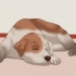 Tagliare le unghie di un cane