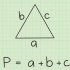 Calcolo del perimetro di un triangolo