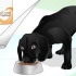 Lucida il pelo di un cane