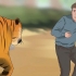 Sopravvivere a un attacco di tigre