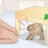 Legame con un gatto arrabbiato o spaventato
