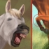 Creare un legame con il tuo cavallo attraverso l'equitazione naturale