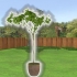Pianta un albero