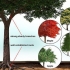 Costruire una casa sull'albero
