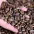 Usando una caffettiera
