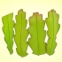 Coltivare un epiphyllum cactus