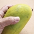 Scegliere un buon mango