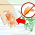 Resuscita un pesce rosso
