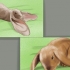 Tenere un coniglio cadente come animale domestico