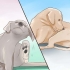 Controllo di un cane per tigna