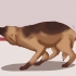 Calmare un cane