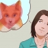 Prendere un gatto come animale domestico