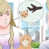Trasporto di un gatto in aereo