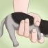 Fai la cacca di un gattino