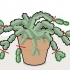 Potare un cactus membro