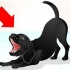 Addestrare un labrador dispettoso