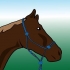 Spazzolare un cavallo