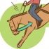 Come fare in modo che un cavallo smetta di contrarsi