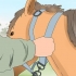 Truccare un cavallo